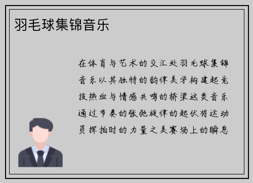 羽毛球集锦音乐